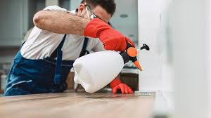 Best Pest Prevention Services  in Cashmere, WA